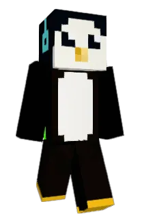 Front of M_rt's skin