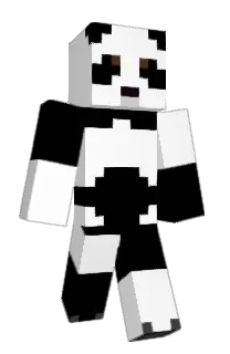 Front of Cha0sKing's skin