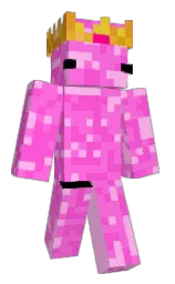 Minecraft skin — Classic model