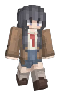 Front of Minecraft skin