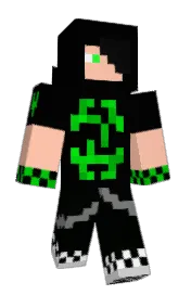Skin preview