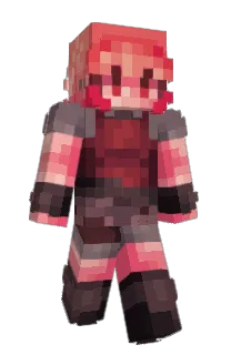 Front of fin1d's skin