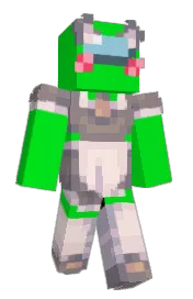 Skin preview
