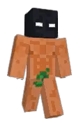 N1Tzz