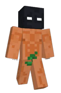 Front of N1Tzz's skin