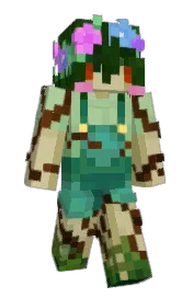 Skin preview