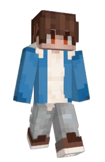 Front of Dragonplane's skin