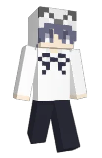 swagcat0_0's Minecraft skin