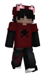 Minecraft skin — Classic model