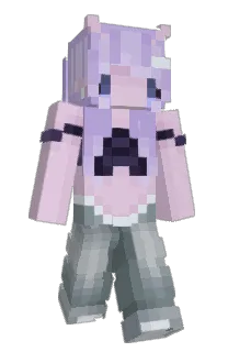 Front of NiftyBert's skin