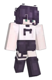 collin3110's Minecraft skin