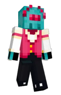 Front of qotice's skin