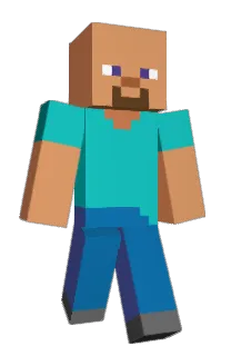 Front of wilrem's skin