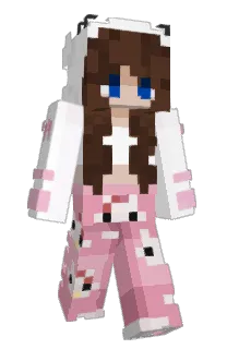 Front of Salfette's skin