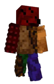 Front of vikthegamer14's skin