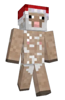 Front of Sheppppp's skin