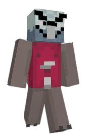 Skin preview