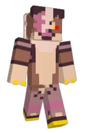 Skin preview