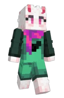Front of Village_'s skin