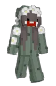 minecraftBrini