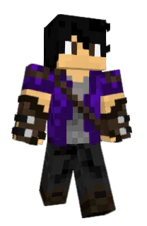 Front of ZSD14's skin