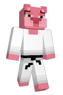 420qm Minecraft avatar full body