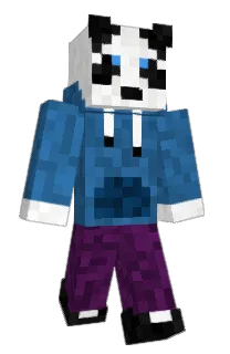 Front of Panditonto's skin