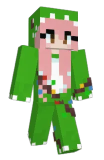 Front of ch0w0's skin