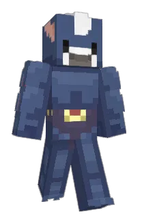 Front of 1pv's skin