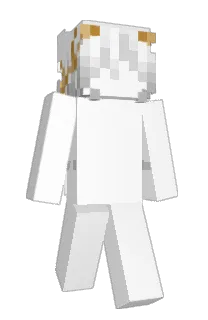 Front of jnkie's skin