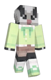 Skin preview