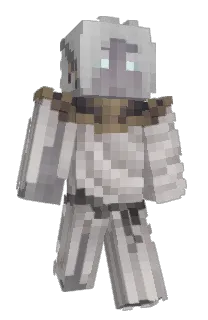 Front of spinzir's skin