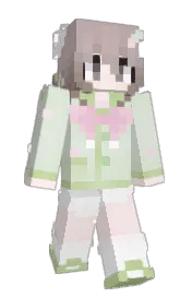 Skin preview
