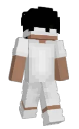 vz16c_'s Minecraft skin wearing the Migrator cape