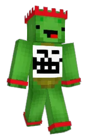 Skin preview