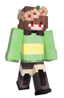 Front of Moksink's skin