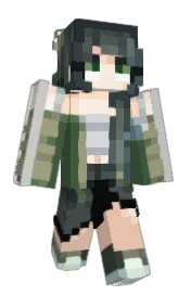 Skin preview