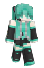 Skin preview