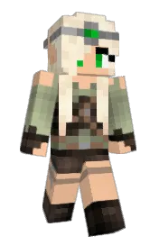 Skin preview