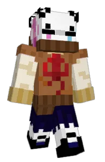 Front of envmai's skin