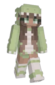 Skin preview