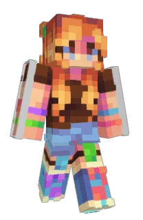 Front of Irit's skin