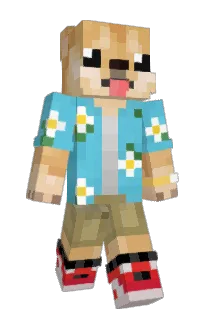 Hoaak's Minecraft skin