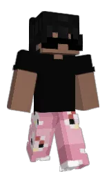 cod gray and beaver Minecraft skin — Classic model