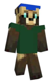 Front of T3MP0R4RY's skin