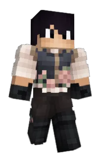 FranH09's Minecraft skin