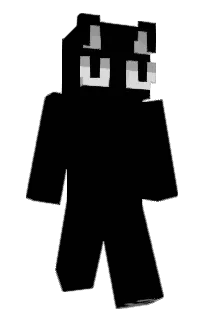 Front of lHamza's skin