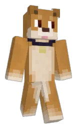 Minecraft skin — Classic model