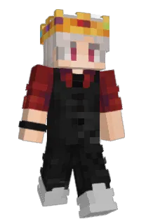 Front of ImMixed's skin