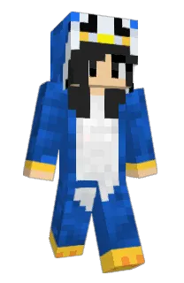 Front of Steam's skin